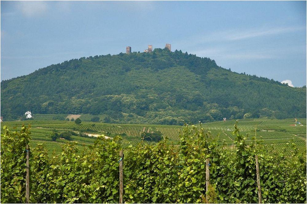 Fast Hotel Colmar Houssen Εξωτερικό φωτογραφία